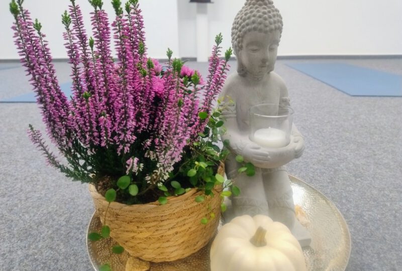 Phönix Yoga & Pilates, Meldorf